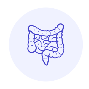 Prikkelbare darm Strak Plan online diëtisten FODMAP